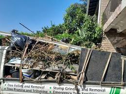 Best Same-Day Junk Removal Services  in Panther Valley, NJ
